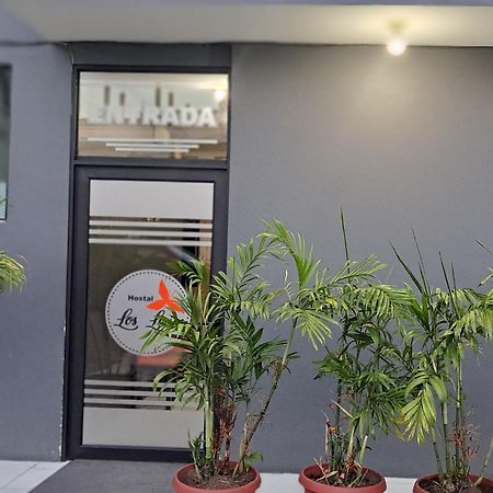 Hostal Los Lirios Loja Ngoại thất bức ảnh